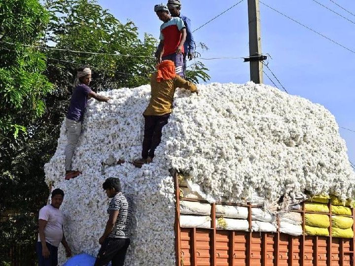 Trump tarif impact; India Cotton Duty-Free Imports Extension | Textile | Textile traders will be able to import duty-free cotton by 31 December: 50% US tariffs decide to save textile sector, will get a discount of up to 11%